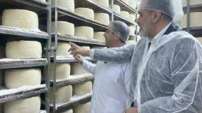 Şanlıurfa'da çadırda başlayan peynir üretimi, Sinan Kutlu'nun 7 bin metrekarelik