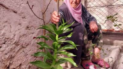 Diyarbakır’ın Çüngüş ilçesinde yaşayan 90 yaşındaki Nevriye Altay, 8 yıl