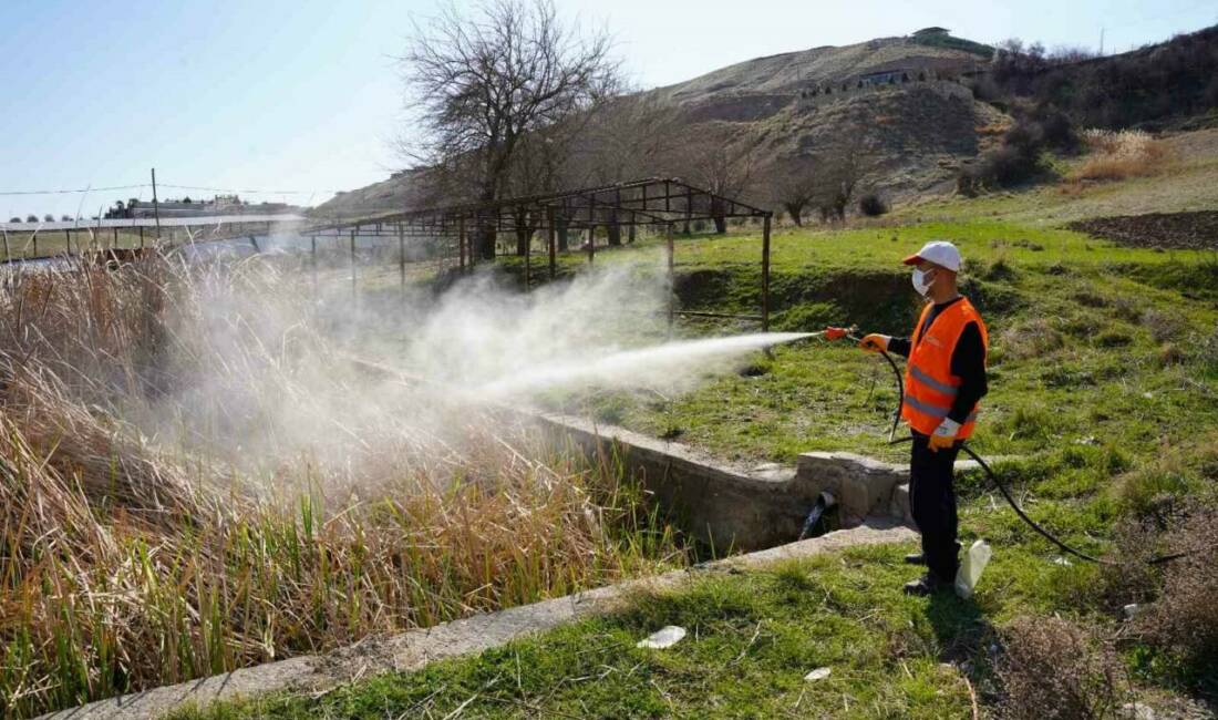 Kahta ilçesine bağlı Belediye Temizlik İşleri Müdürlüğü ekipleri, yaz aylarında