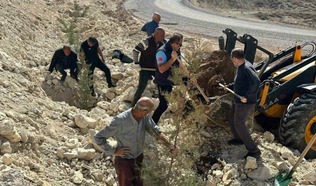 Sahabe Safvan bin Muattal külliyesi çevresindeki yamaçlar teraslanarak ağaçlandırıldı. Samsat'a