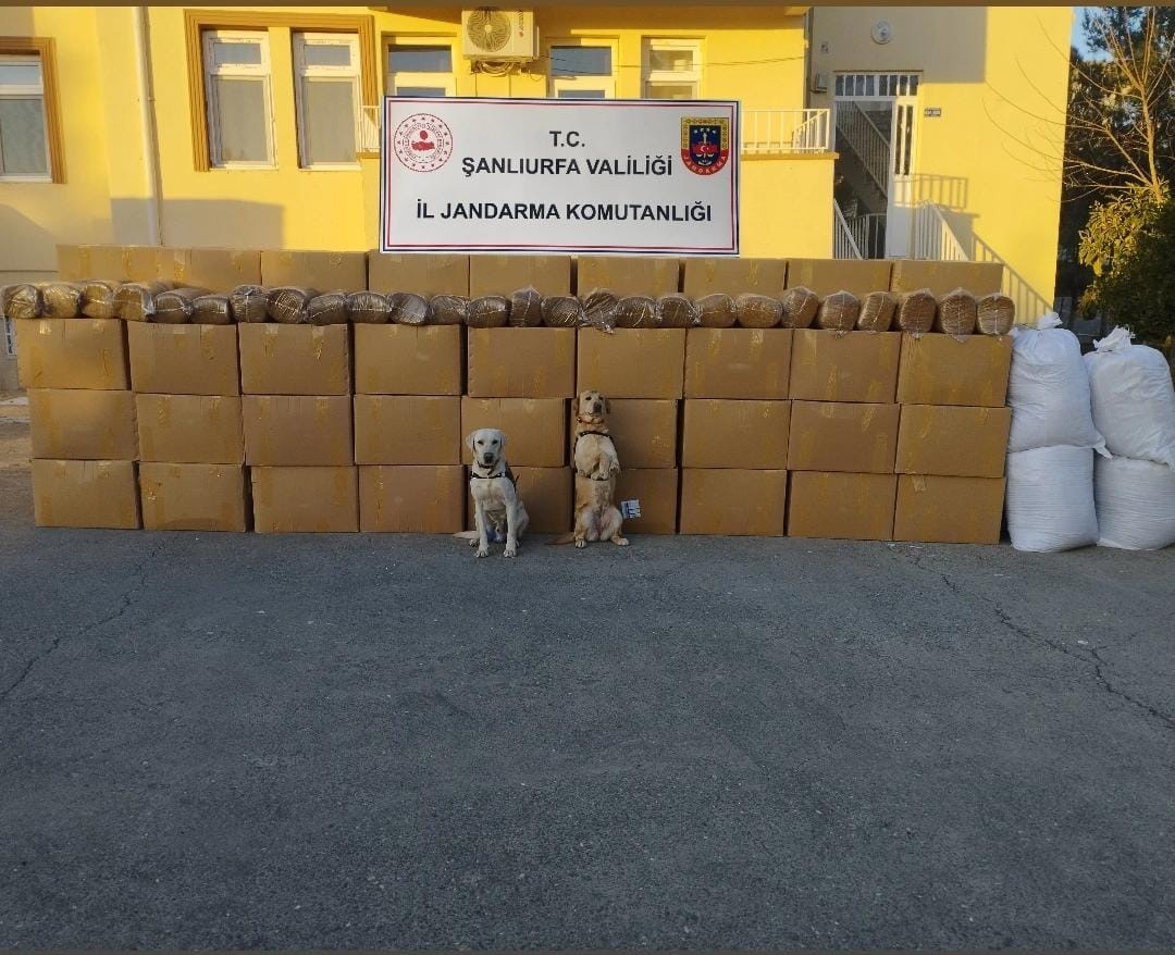 Şanlıurfa'da yapılan yol uygulamasında bin 164 paket gümrük kaçağı sigara