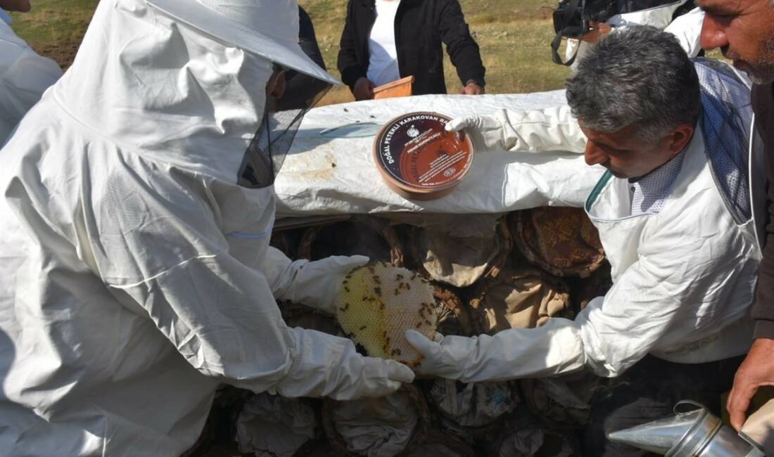 Siirt'te, TKDK tarafından yapılan değerlendirmeler sonucunda 56 proje hibe desteği