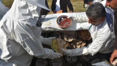 Siirt'te, TKDK tarafından yapılan değerlendirmeler sonucunda 56 proje hibe desteği