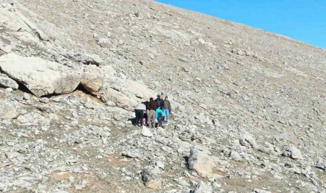 Siirt’te kayıp olarak aranan genç kız, dağlık alanda bulundu.