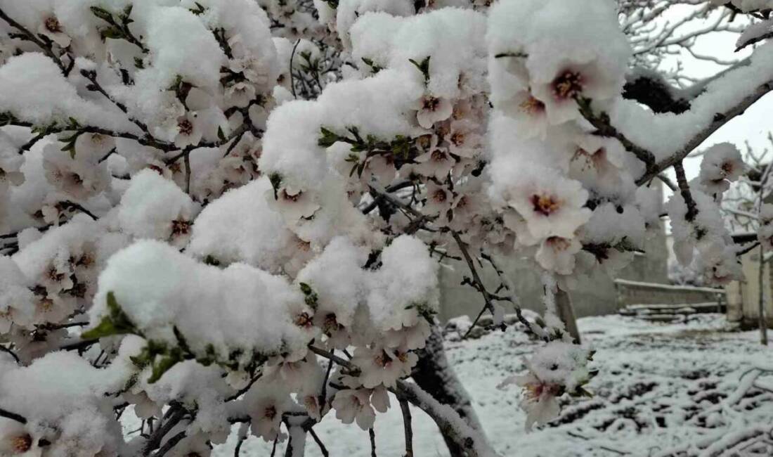 Adıyaman’ın Sincik ilçesinde bahar havası yerini kışa bıraktı, gece saatlerine