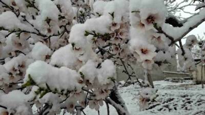 Adıyaman’ın Sincik ilçesinde bahar havası yerini kışa bıraktı, gece saatlerine