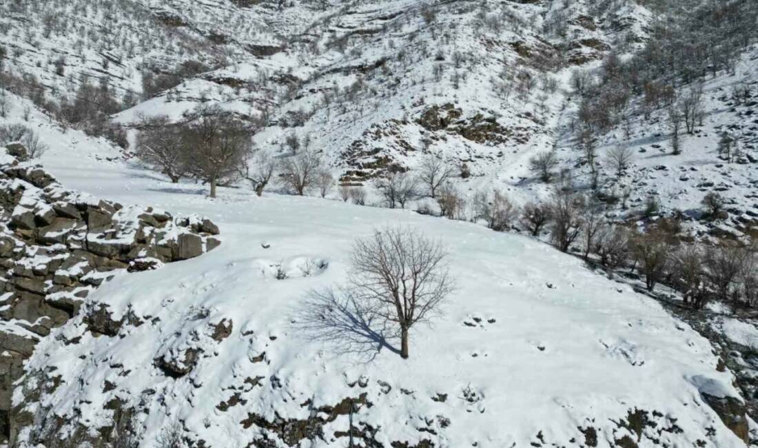 Şırnak’ta kar yağışı sonrası dağlar beyaz örtü altında kaldı.