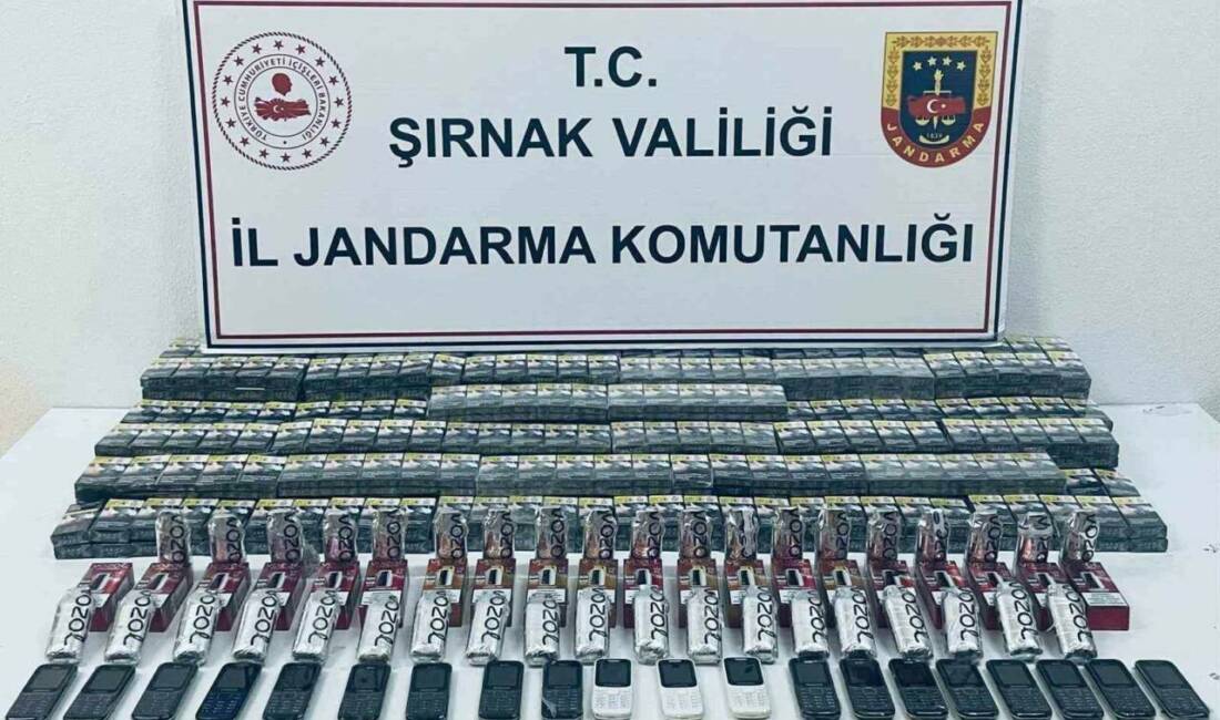 Şırnak Jandarma ekipleri, 30 adrese düzenlediği baskınlarla 4 milyon 571