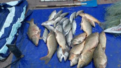 Adıyaman İl Tarım ve Orman Müdürlüğü, 1 Nisan-30 Haziran tarihleri