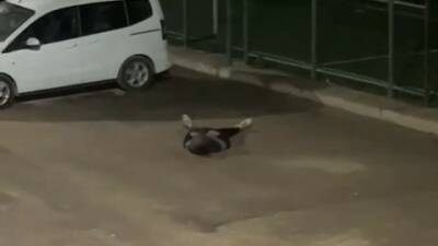 Adıyaman’da, kullandığı maddenin etkisiyle yere yığılan şahıs hastaneye kaldırıldı. Duruma