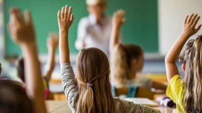 Milli Eğitim Bakanlığı (MEB), bu yıl Kurban Bayramı nedeniyle yaz