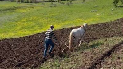 Diyarbakır’ın Dicle ilçesinde çiftçinin atla tarlasını sürdüğü anlar objektiflere yansıdı.