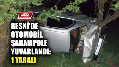 Besni'de meydana gelen trafik kazasında 22 yaşındaki genç sürücü yaralandı.
