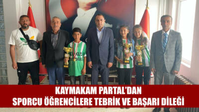 Besni Kaymakamı Çağlar Partal, serbest güreş dalında Türkiye finallerine katılacak