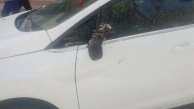 Şanlıurfa’da kimliği belirsiz bir şahsın park halindeki aracı kaportasını tekmeleyip