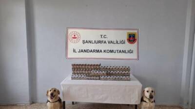 Şanlıurfa’nın Viranşehir ilçesinde bin 720 paket gümrük kaçağı sigara ele