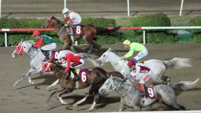 Şanlıurfa Büyükşehir Belediyesi ve Şanlıurfa Valiliği iş birliğiyle düzenlenen 11