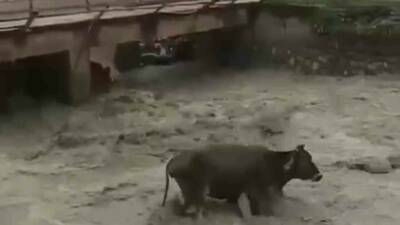 Siirt’in Baykan ilçesi Veysel Karani beldesinde etkili olan sağanak yağış