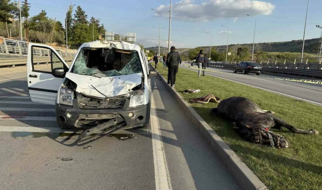 Gaziantep’te sivil polis otosu, aniden yola fırlayan başıboş ata çarptı.