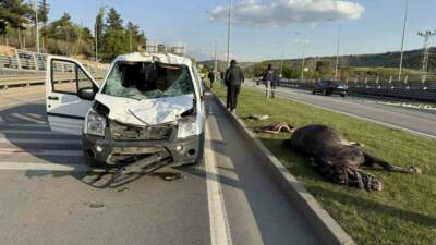 Gaziantep’te sivil polis otosu, aniden yola fırlayan başıboş ata çarptı.