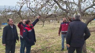 Zirai don nedeniyle Adıyaman’da zarar gören alanlarda Tarım ve Orman