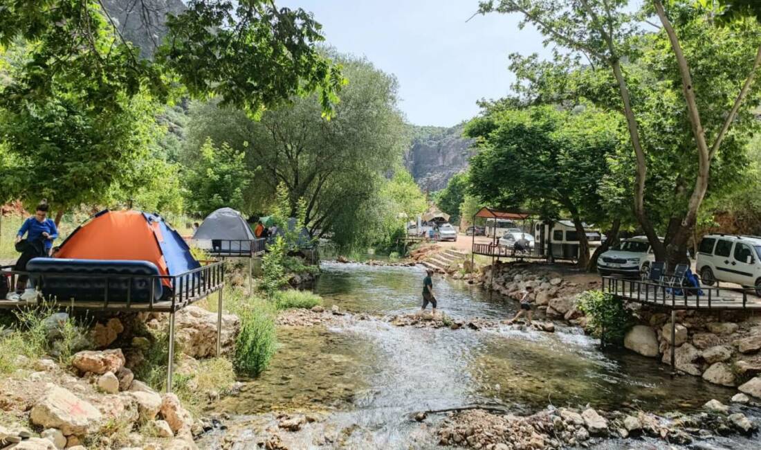 Bu hafta sonu Sugözü Orman Parkı / Millet Bahçesi, doğaseverlerin