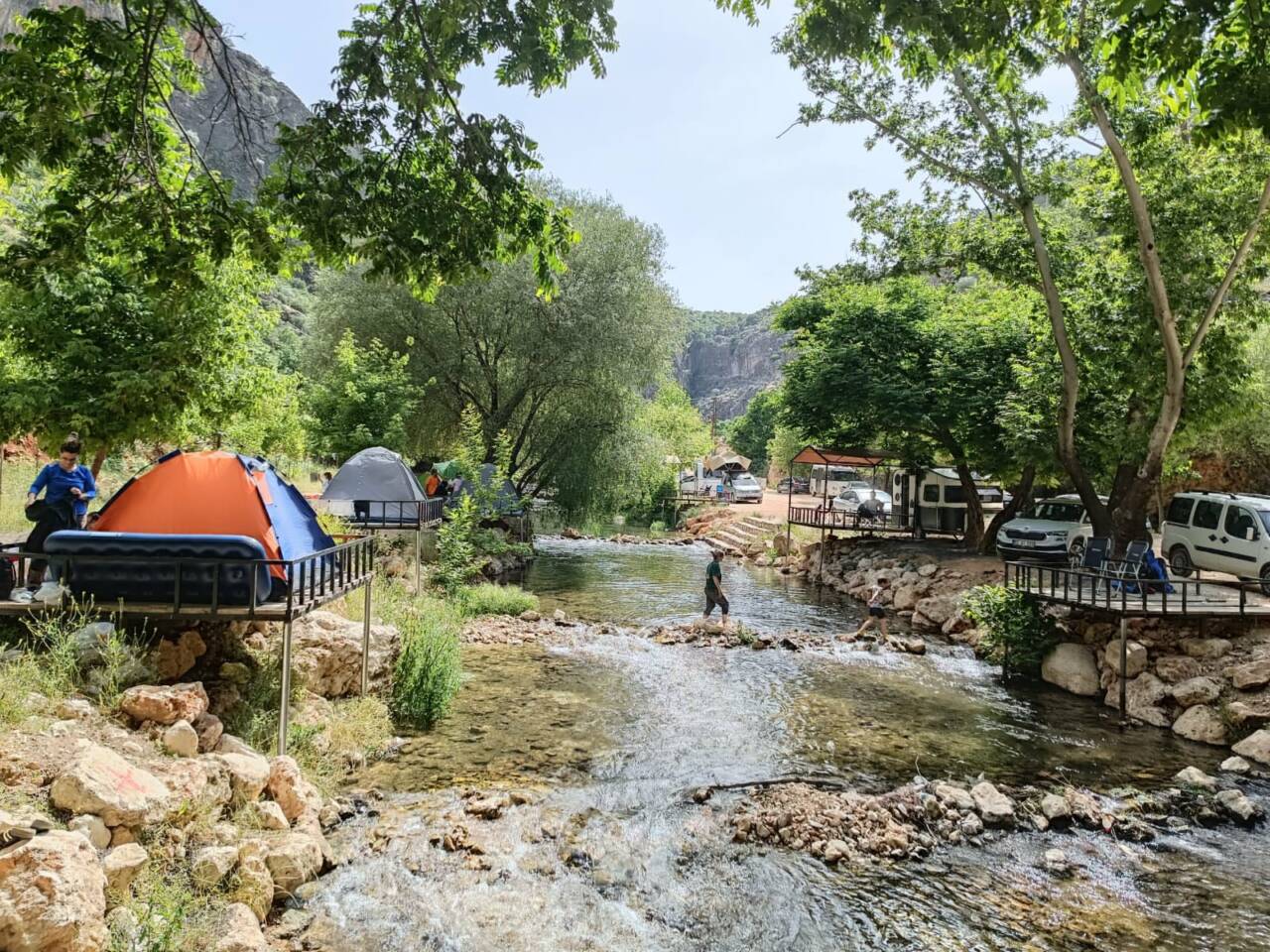 Bu hafta sonu Sugözü Orman Parkı / Millet Bahçesi, doğaseverlerin