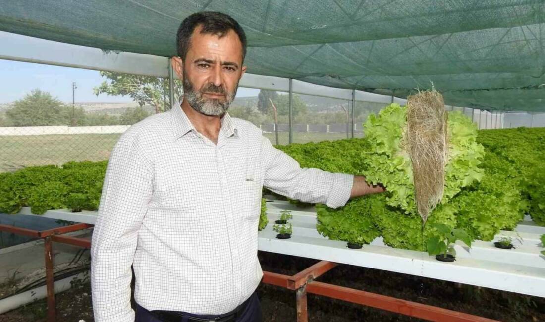 Gaziantep'in Yavuzeli ilçesinde çiftçi Halil Kaya, topraksız sulu tarım yöntemiyle