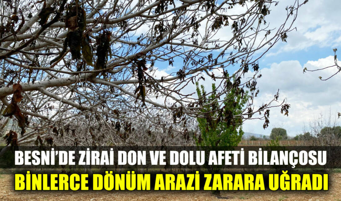 Besni genelinde 12 Nisan 2025 tarihinde meydana gelen zirai don