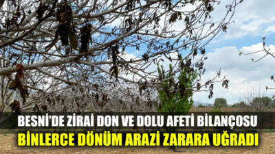 Besni genelinde 12 Nisan 2025 tarihinde meydana gelen zirai don