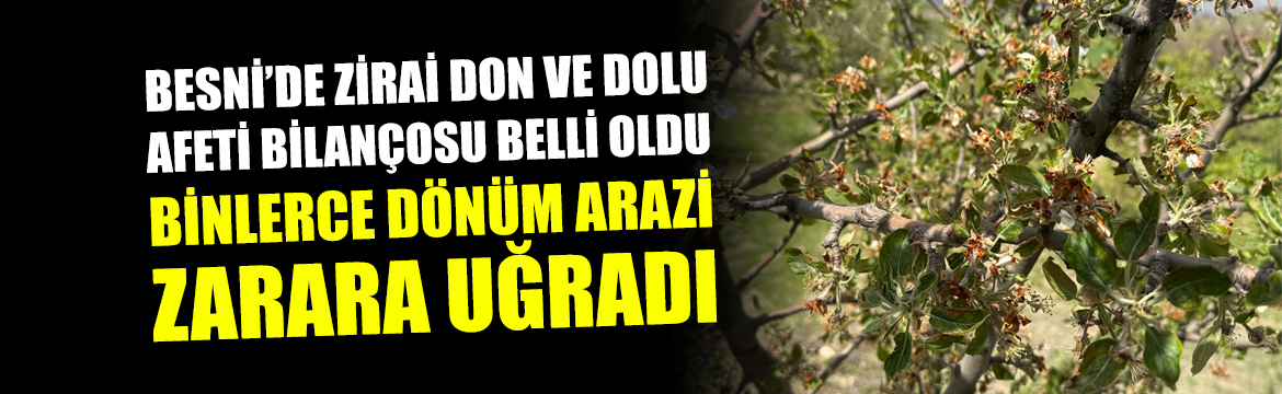 Besni genelinde 12 Nisan 2025