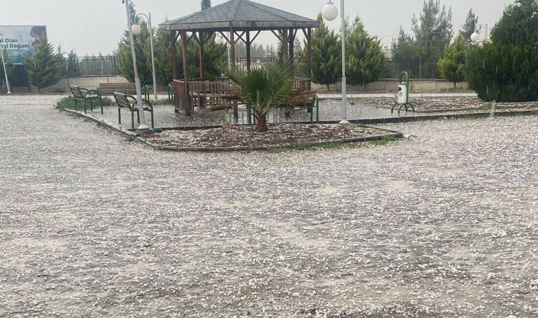 Adıyaman’ın Samsat ilçesinde fındık büyüklüğünde yağan dolu ilçeyi beyaz örtüyle