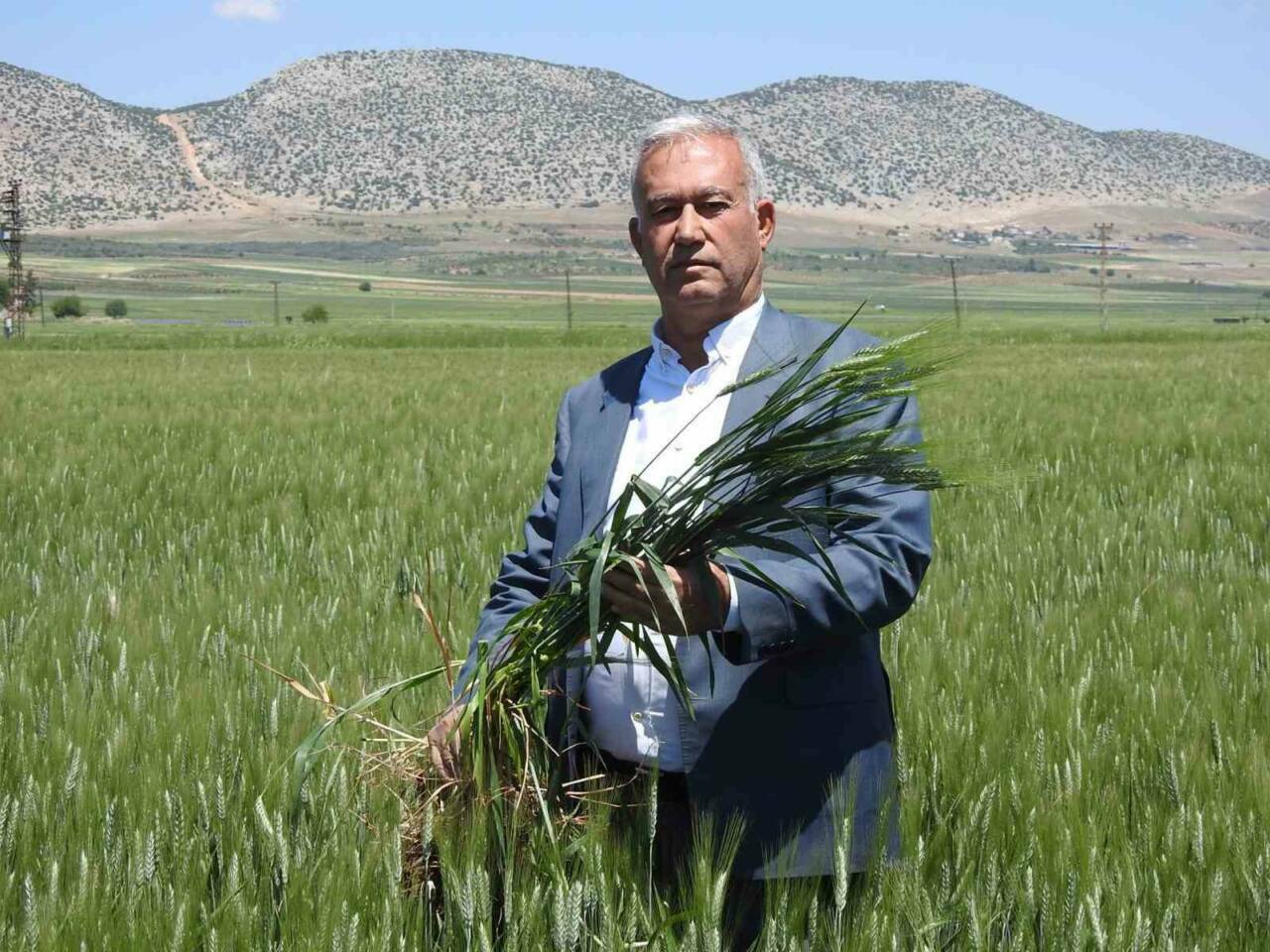 Araban ilçesinde bu yıl 150 bin dönüm arazide ekilen buğdaydan