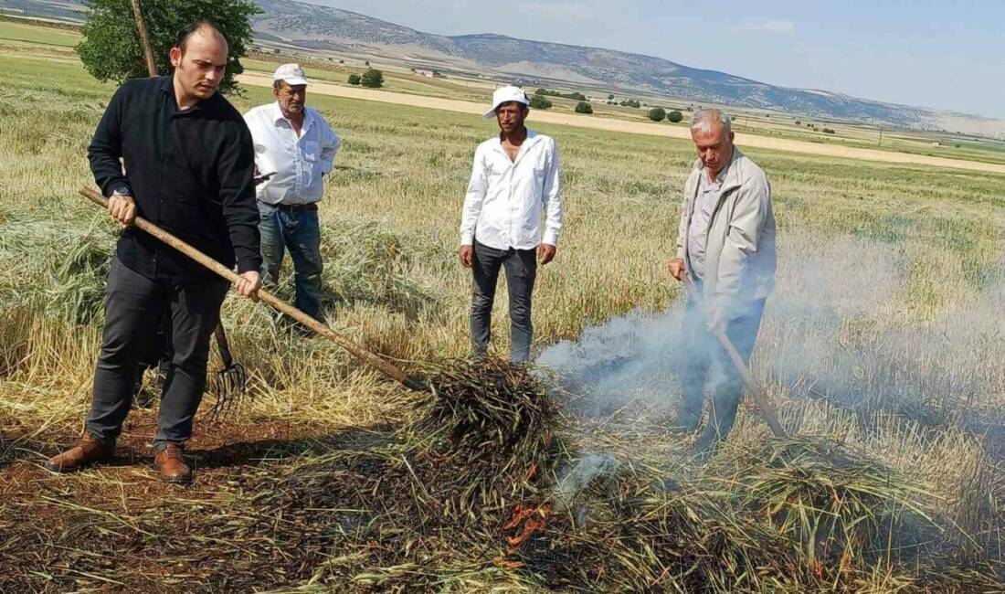 Gaziantep’in Araban ilçesinde, geleneksel yöntemlerle yapılan firik sezonu başladı.