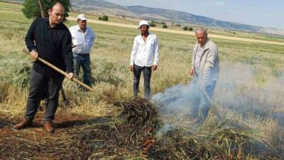 Gaziantep’in Araban ilçesinde, geleneksel yöntemlerle yapılan firik sezonu başladı.