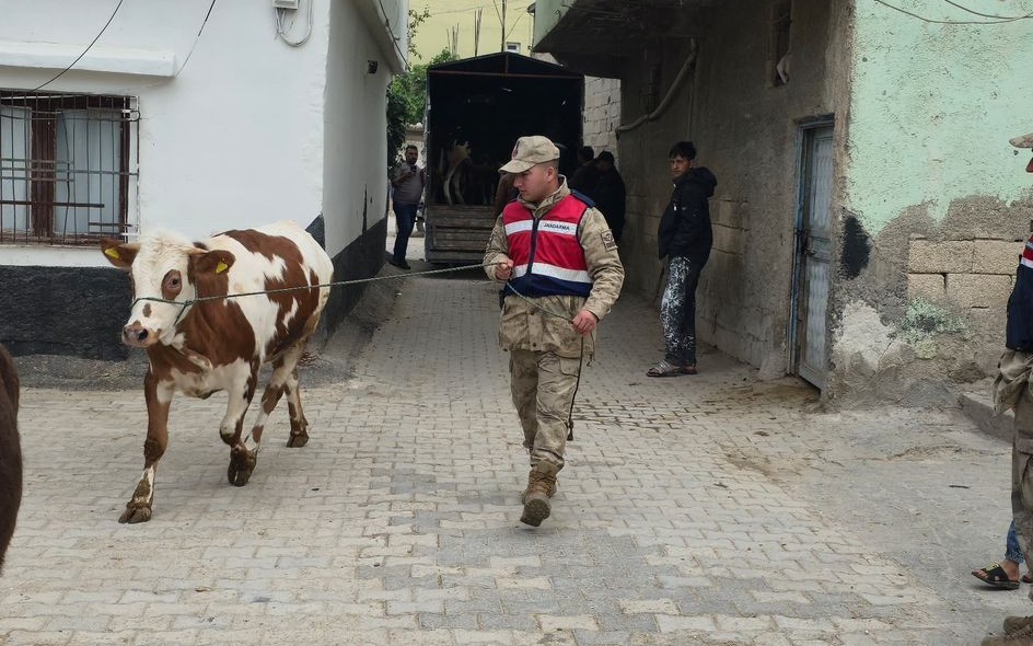 Jandarma ekipleri, Şanlıurfa'nın Hilvan ve Birecik ilçelerinde kaybolan 26 büyük
