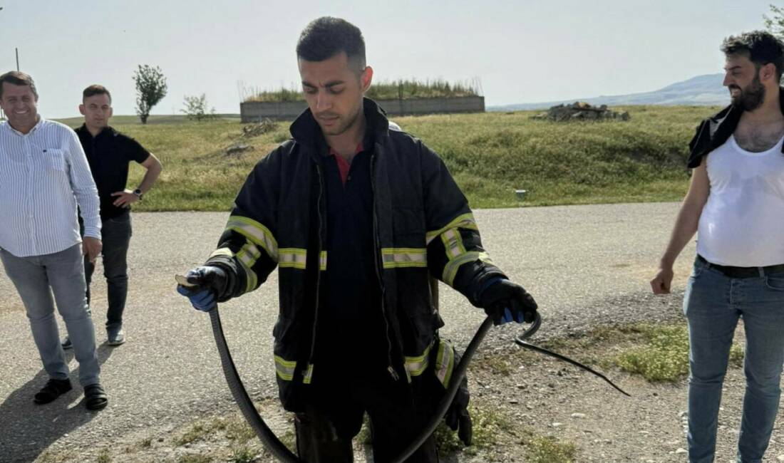 Batman’ın Kozluk ilçesinde bir evin tavanına giren yılan, itfaiye ekipleri