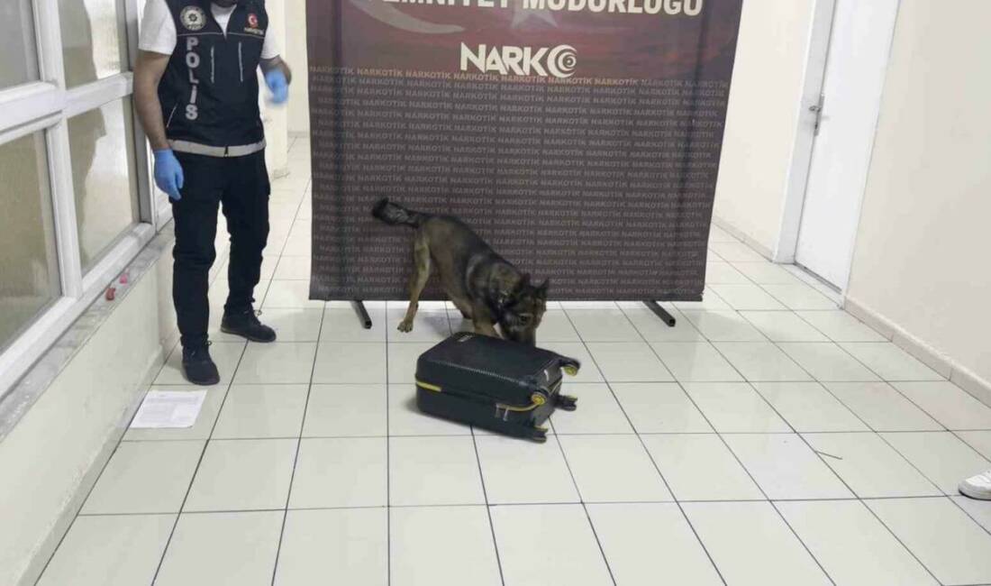 Batman'da Narkotik Suçlarla Mücadele Şube Müdürlüğü ekipleri, otobüsten inen bir