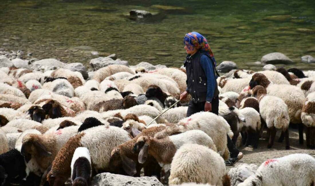 Şırnak'ın Güçlükonak ilçesinden Hakkari'ye doğru göç eden göçerlerin zorlu yolculuğu