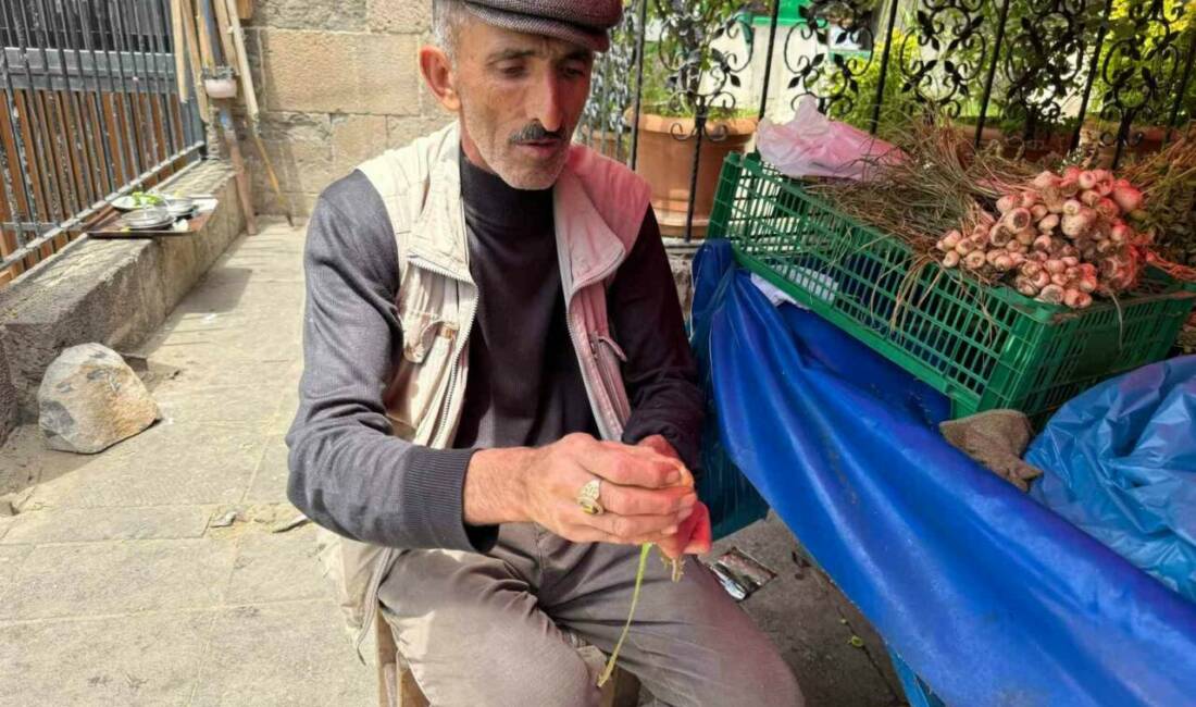 Son yıllarda popülerliği artan ve geleneksel tıpta yüzyıllardır kullanılan uçkun
