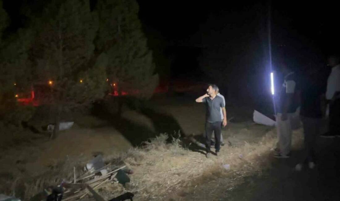 Şanlıurfa'nın Ceylanpınar ilçesinde buğday yüklü bir tırın devrilmesi sonucu buğday