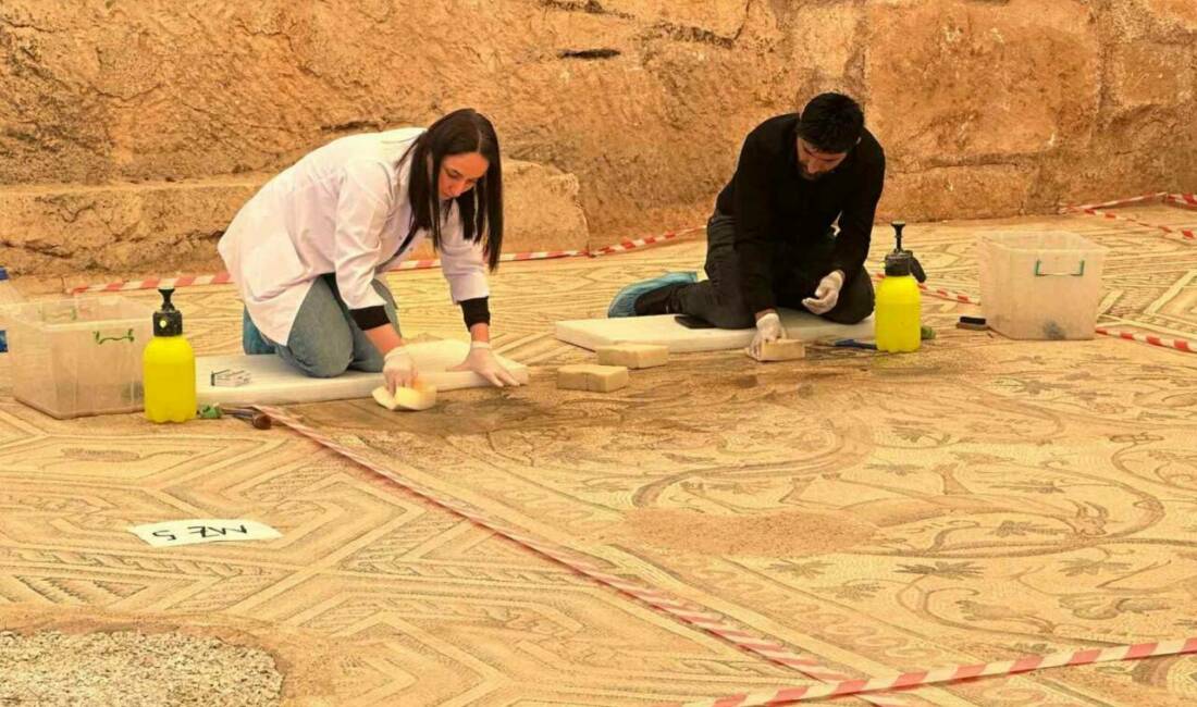 Adıyaman'daki Perre Antik Kenti'nde bulunan 155 metrekarelik 'cennet bahçesi' mozaiğinde