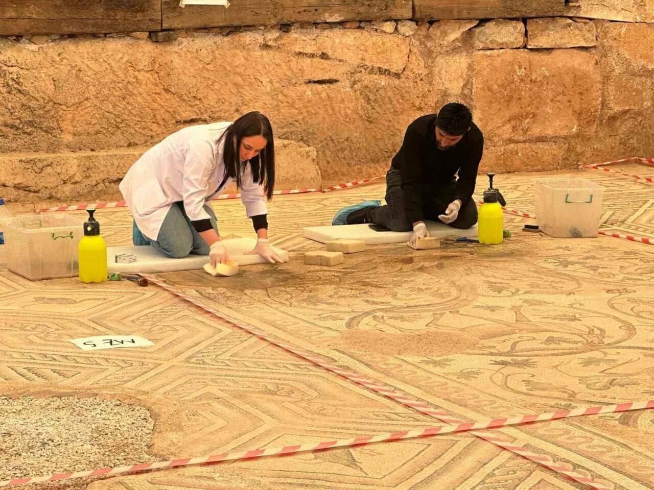 Adıyaman'daki Perre Antik Kenti'nde bulunan 155 metrekarelik 'cennet bahçesi' mozaiğinde