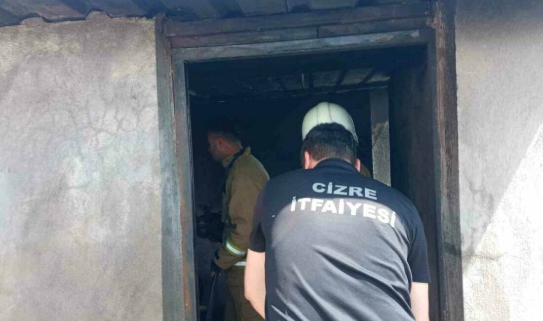 Şırnak'ın Cizre ilçesinde bir odunlukta çıkan yangın, itfaiye ekipleri tarafından