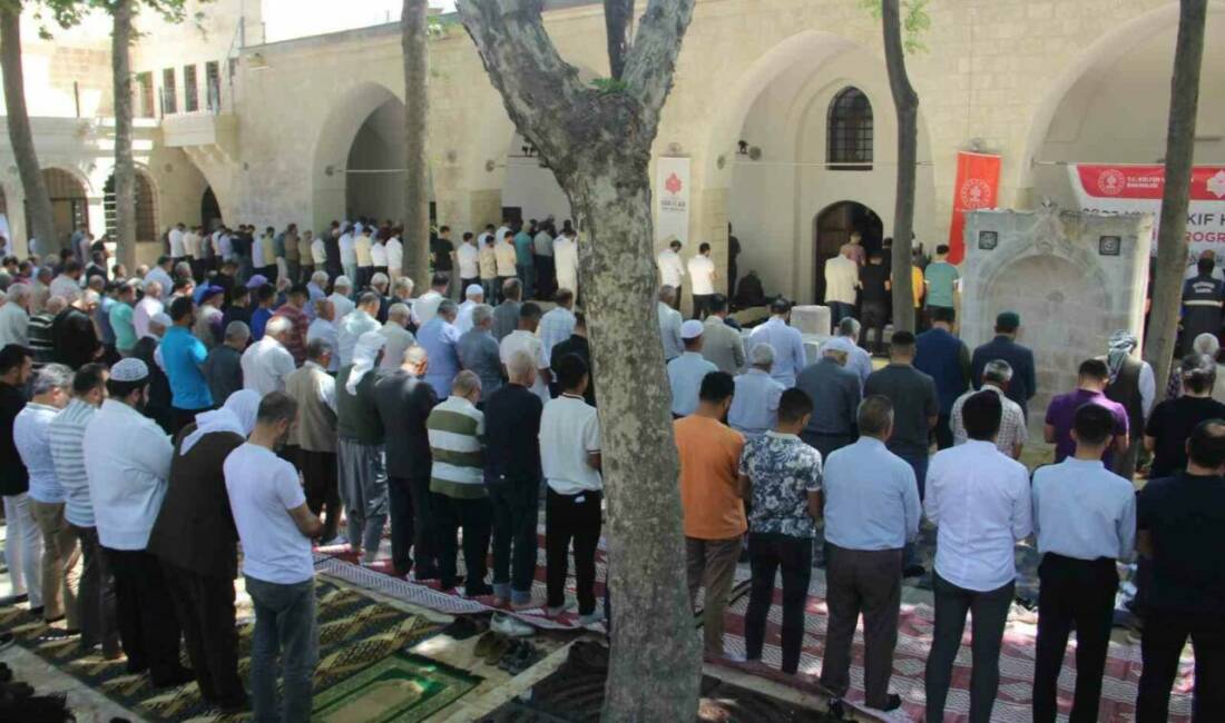 Şanlıurfa'da Kahramanmaraş merkezli 6 Şubat 2023 depremlerinde ve sel felaketinde