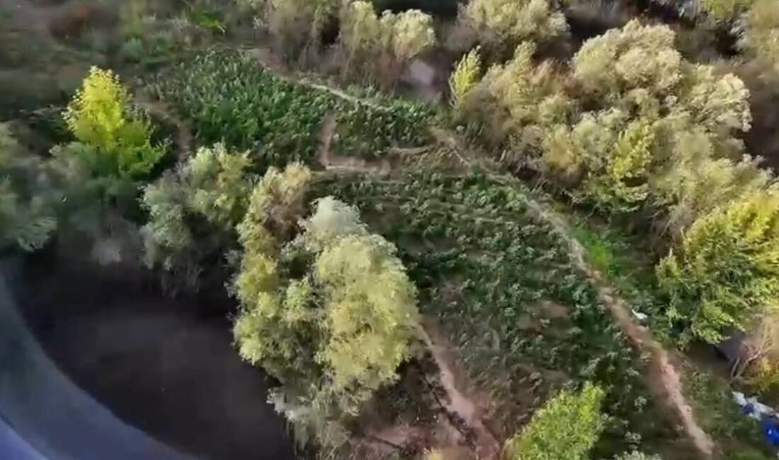 Diyarbakır’ın Eğil, Yenişehir ve Sur ilçelerinde gerçekleştirilen operasyonda 1 milyon