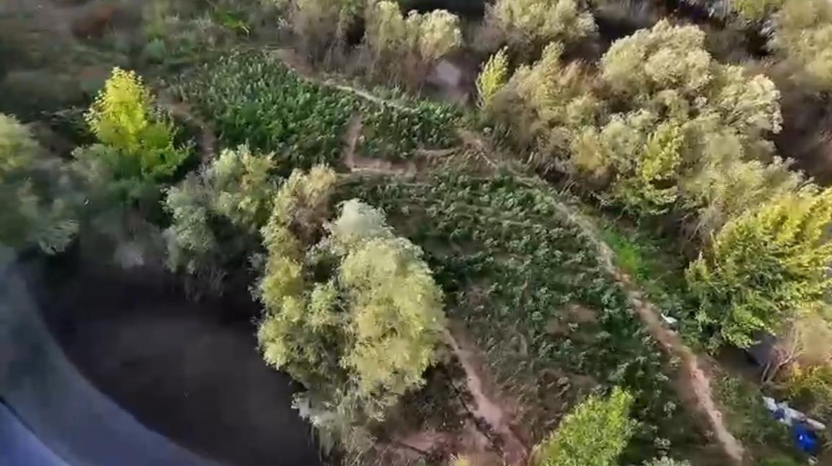 Diyarbakır’ın Eğil, Yenişehir ve Sur ilçelerinde gerçekleştirilen operasyonda 1 milyon