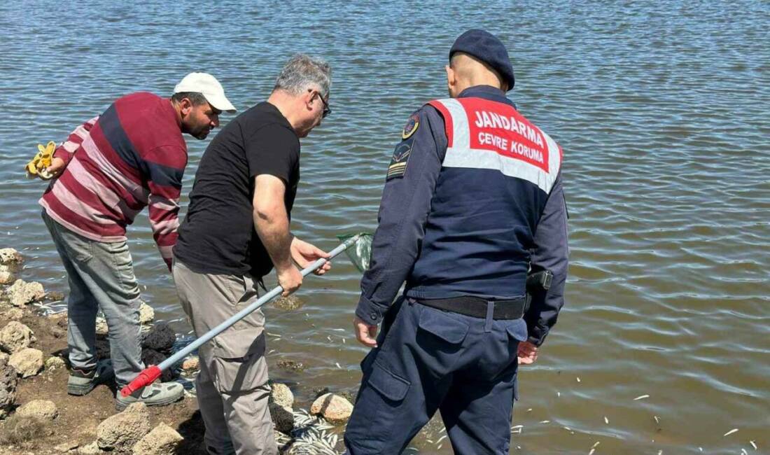Diyarbakır’ın Çınar ilçesinde hayvan sulama göletindeki balık ölümleri nedeniyle inceleme