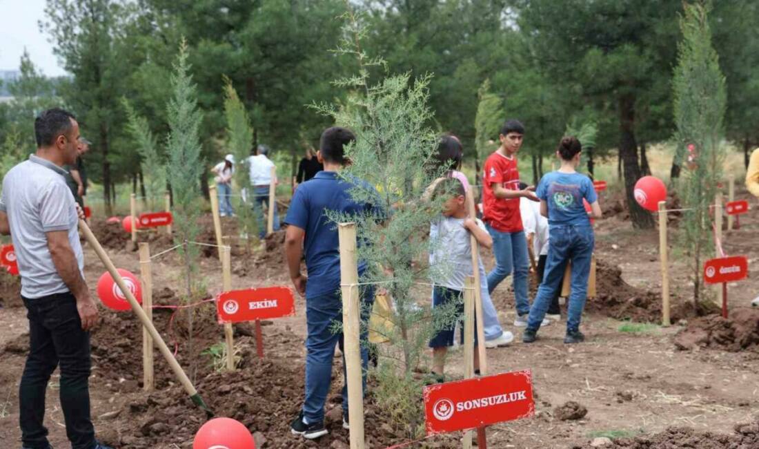 Diyarbakır Aile ve Sosyal Hizmetler İl Müdürlüğü tarafından başlatılan proje