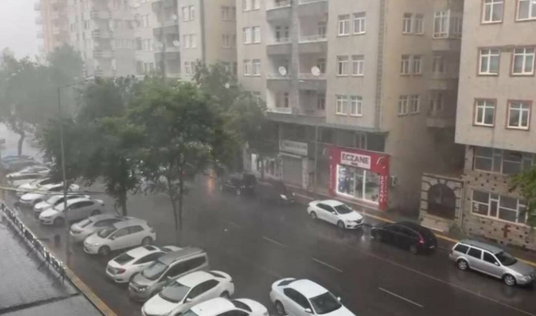 Diyarbakır'da kısa süreli sağanak yağışın etkisiyle ağaç lüks bir otomobilin